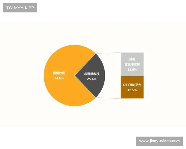 观众收视数据解读：新规赛季是否成功吸引了更多年轻观众？
